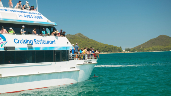 Port Stephens Dolphin Adventure Cruise
