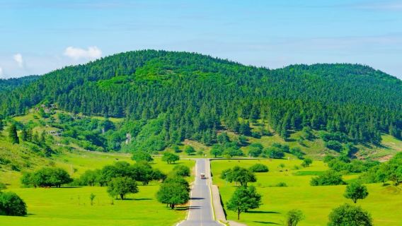 【自營VIP私人導覽】武隆天生三橋+仙女山+烏江觀景台一日遊
