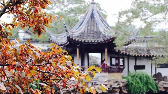 蘇州拙政園+寒山寺+楓橋+山塘街1日遊【純玩團 天天發班】