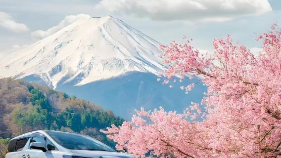 日本東京機場接駁：羽田機場/成田機場【中文司機－接送地點可調】