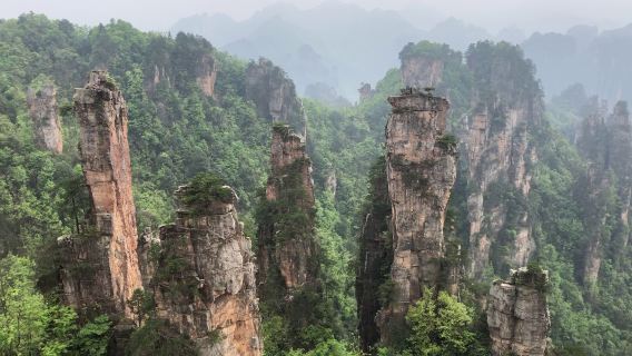 Чжанцзяцзе, национальный лесной парк: однодневный тур по Юаньцзяцзе, Янцзяцзе, Золотому Кнуту (Цзиньбяньси) и Галерее десяти ли.