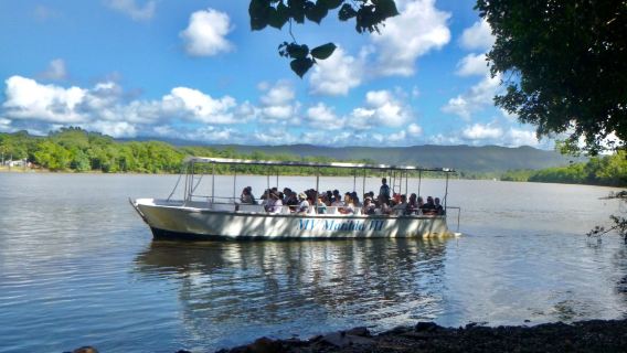 Floresta Tropical Daintree + Garganta de Mossman + Cultura Aborígene no Barco de Crocodilos em Cairns | Inclui traslado do hotel e almoço