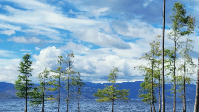 Dali Xizhou Ancient Town + Zhoucheng Bai Village + Erhai Ecological Corridor + Chongsheng Temple Three Pagodas Private Charter Day Tour