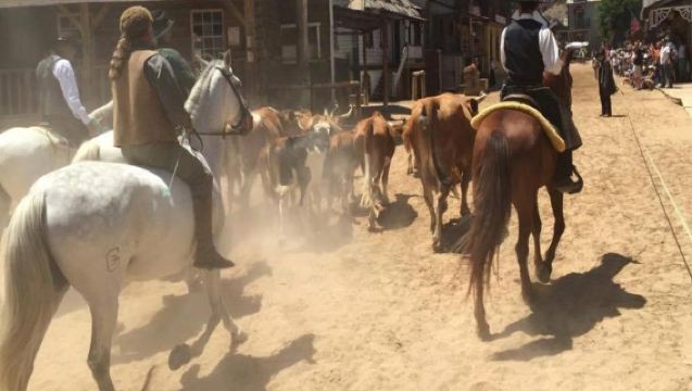 Sioux City Park Ticket