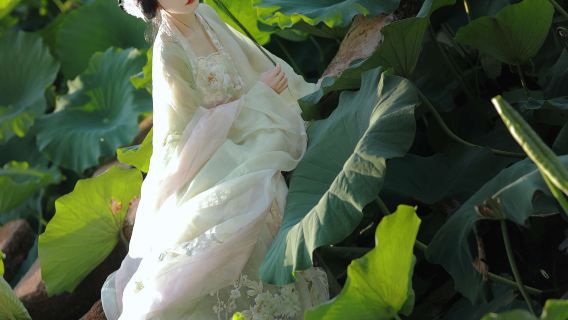 Trip Moments in Dongming County[Yellow River National Wetland Park / Zhuangzi Cultural Wetland Park Translation Photographer Guide Photography Aerial Photography Accompaniment]