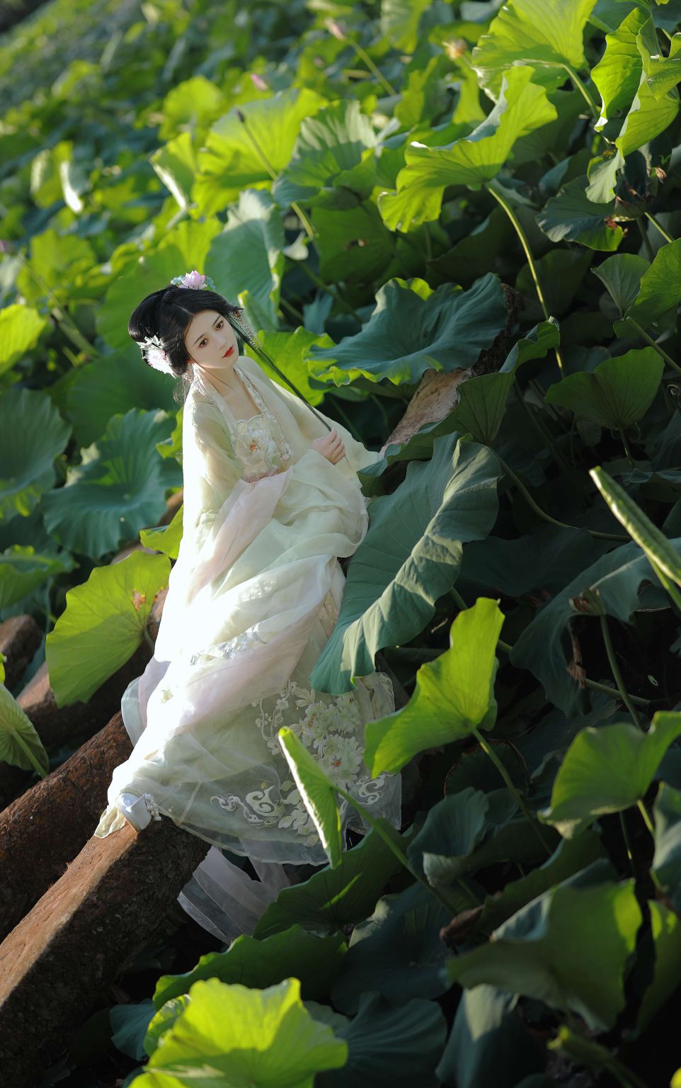 Trip Moments in Dongming County[Yellow River National Wetland Park / Zhuangzi Cultural Wetland Park Translation Photographer Guide Photography Aerial Photography Accompaniment]