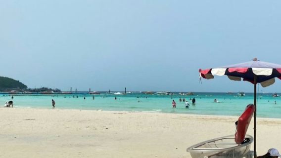 เกาะปะการัง จุดชมวิวพัทยา และปราสาทสัจธรรม: ทัวร์พร้อมไกด์จากกรุงเทพฯ