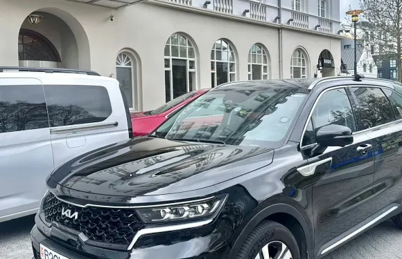 雷克雅未克：由斯卡法巴基郵輪碼頭往凱夫拉維克機場私人接送