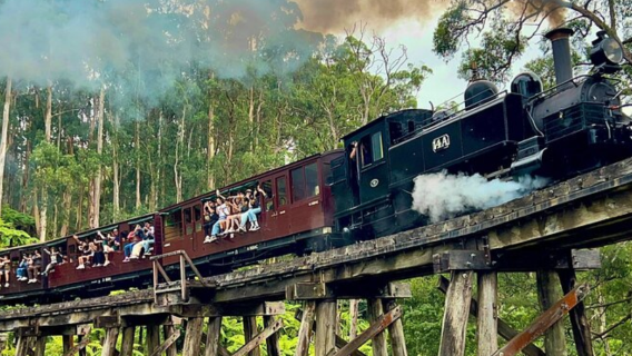Go West Tour Melbourne Puffing Billy Railway + Penguin Island Day Tour