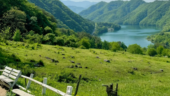 韓國首爾南怡島＋江村鐵路主題公園＋晨靜園藝樹木園｜中文一日遊
