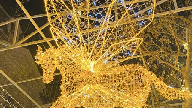 哈爾濱中央大街+七三一罪證陳列館+哈藥製藥六廠【上門接駁】