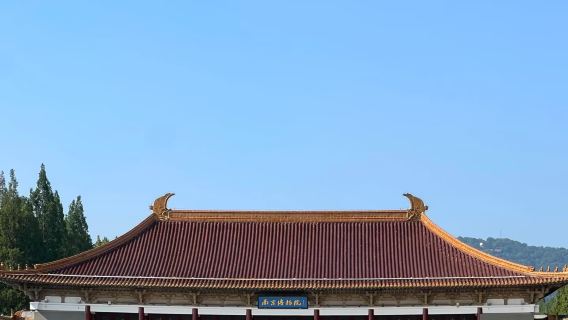 南京博物院陪同導覽【多組合可選+耳麥防干擾+高級講師帶隊】