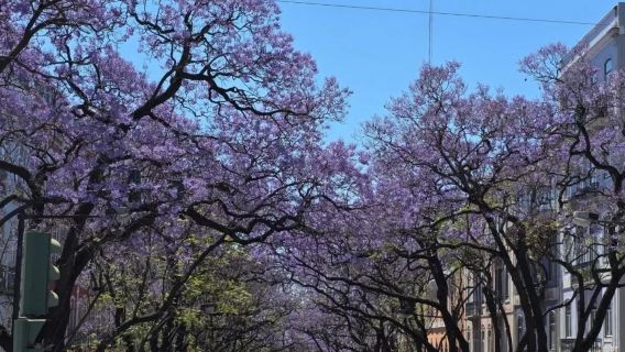 葡萄牙里斯本市區-親子休閒歡樂-可全境包車-精選