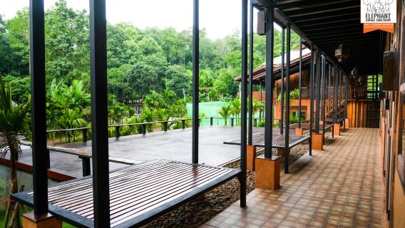 Sanctuari Gajah Chiang Mai - Lawatan Semalaman