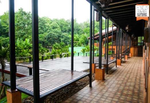 Elephant Jungle Sanctuary Chiang Mai-Overnight visit