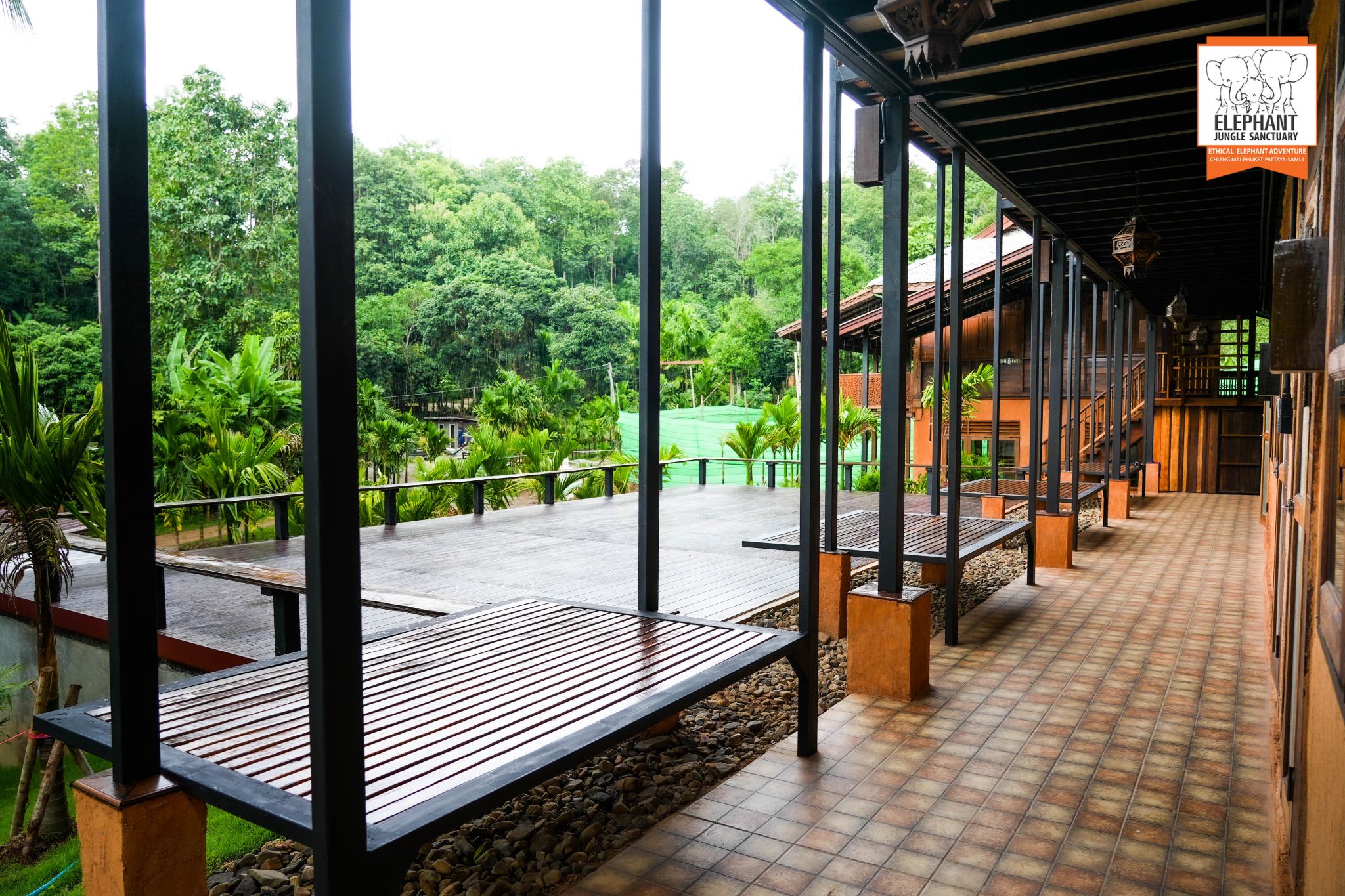 Elephant Jungle Sanctuary Chiang Mai-Overnight visit