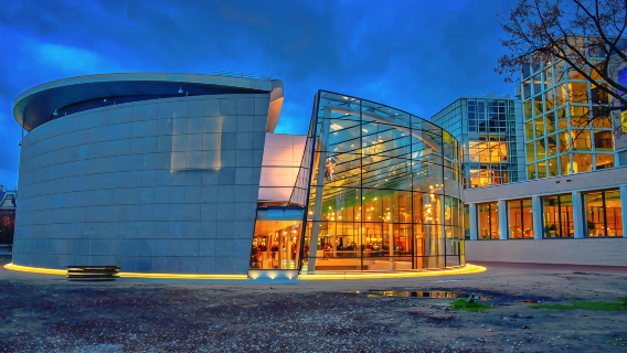 Van Gogh Museum + Rijksmuseum + Aalsmeer Flower Auction + Dam Square