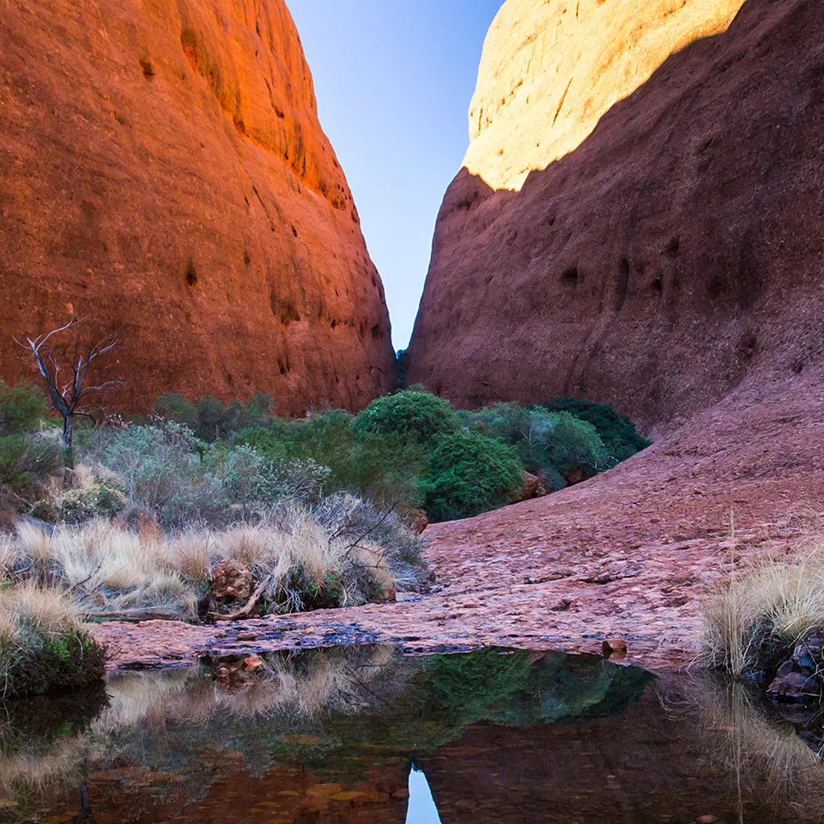 Uluru Sunrise & Kata Tjuta [English-Speaking Guide + Hotel Pickup + Heartwarming Sunrise Morning Tea]