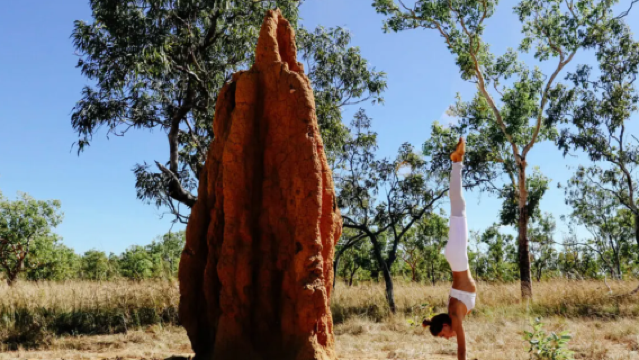 Однодневный тур из Дарвина в национальный парк Литчфилд с водопадами [трансфер из города | включен обед] туда и обратно