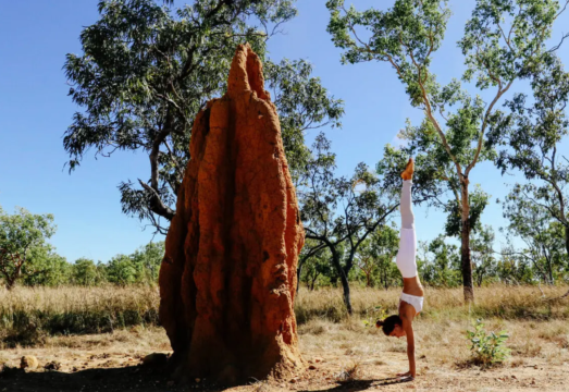 Darwin Round-Trip Litchfield National Park + Waterfalls 1-Day Tour [City Transfer | Lunch Included] AUD 227.09