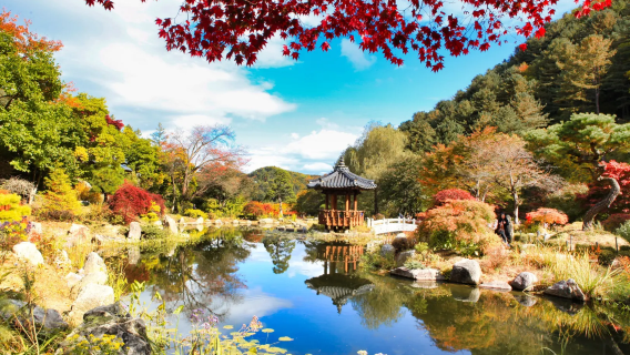 Seoul-Nami-Insel Hin- und Rückfahrt Reisebus