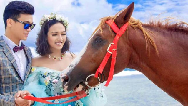 Saipan Beach Horseback Riding Experience + Seaside Ranch Leisure Tour