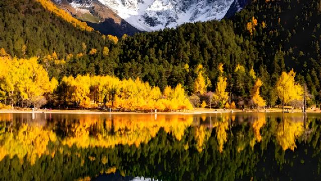 ออกเดินทางจากเฉิงตู: ทัวร์ 1 วัน VIP ปี้เผิงโกว แบบเหมารถ (รวมถังออกซิเจนและน้ำ) ไม่รวมตั๋วเข้า