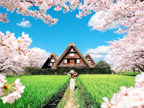 【童话物语·限時特惠】日本名古屋白川鄉合掌村+飛彈高山一日遊