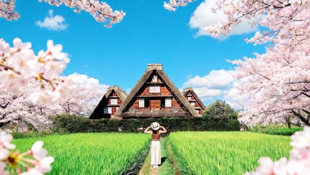 【童話物語・期間限定特典】日本名古屋白川郷合掌造り集落+飛騨高地日帰りツアー