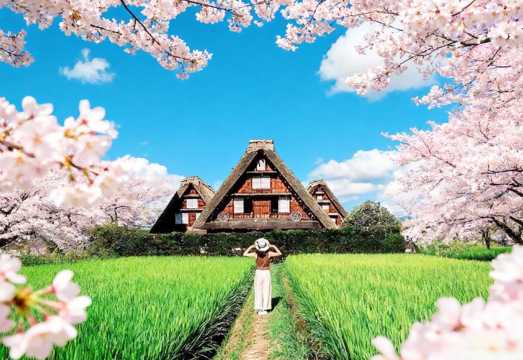 [Fairytale Story·Limited Time Offer] One-Day Tour to Shirakawa-go Gassho Village and Hidakochi from Nagoya, Japan