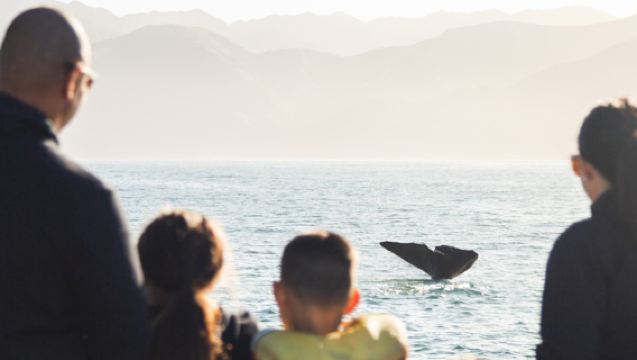 New Zealand Lawatan Sehari Gunung Cook - Pergi-Balik Queenstown - Kumpulan Kecil Berbahasa Cina - Penghantaran Ke Lapangan Terbang Percuma