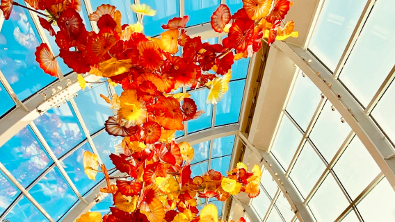 美國西雅圖-太空針塔-市區一日遊-景點任選【中文包車自由行】