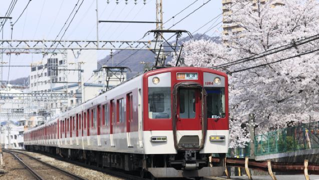 [Official ticket] Kansai railway pass lite (2026 new version) 2-day/3-day pass