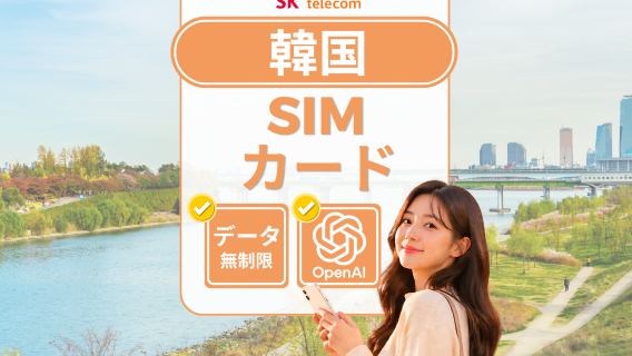 【無料T-Money | 韓国SIMカード】SKT 4Gローカル データ使い放題・通話可能 SIMカード + FREE! 韓国ダイソー割引クーポン | 韓国で受け取る