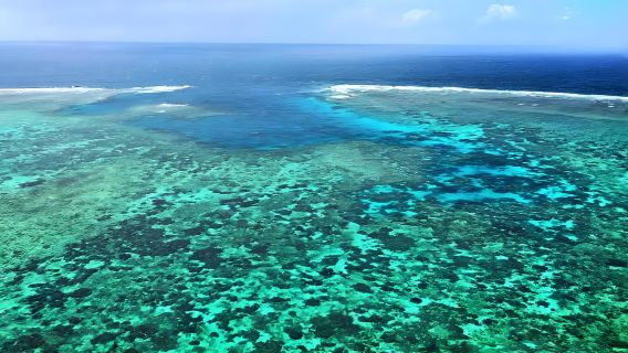 Cairns, Australia: penterjemah bahasa Cina, pemandu pelancong tempatan & perkhidmatan pemandu pelancong / sewaan peribadi tersuai