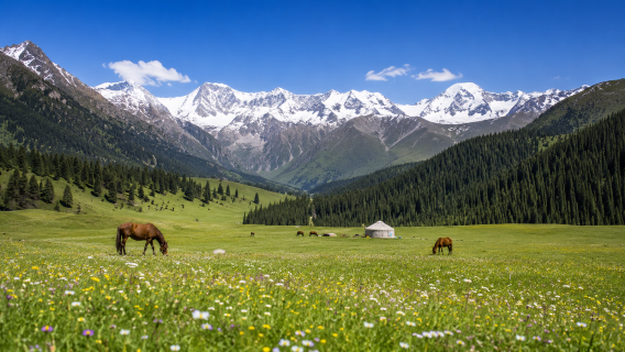 Hin- und Rückfahrt von Ürümqi – Tagesausflug zum Nanshan-Tianshan-Canyon ohne Einkaufsstopps – Reiseleiter in Chinesisch, Englisch, Japanisch oder Koreanisch verfügbar