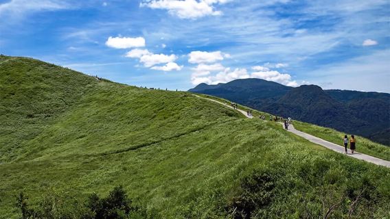 日本東京伊豆包車遊【伊豆市區+大室山+仙人掌公園+城崎海岸】