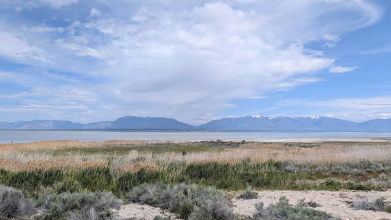 Amerika Syarikat Salt Lake City - Great Salt Lake - Pulau Antelope - Boleh Dikustomisasi [Kereta Khas - Kebebasan Penuh]