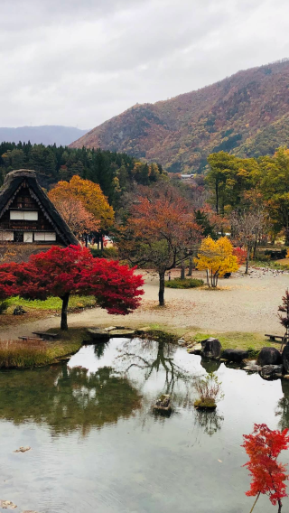 日本名古屋-郡上八幡城-白川鄉-和田家【中文包車-舒適純淨】