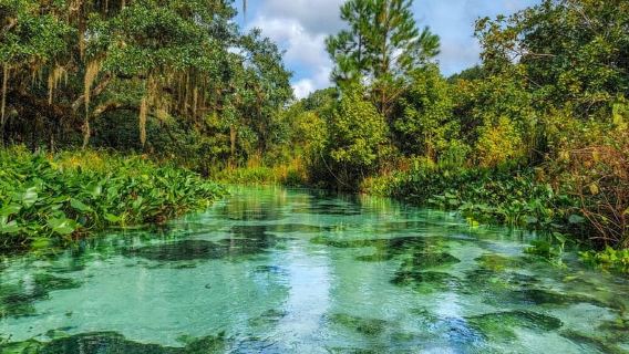 Florida: Emerald Cut Kayak Adventure