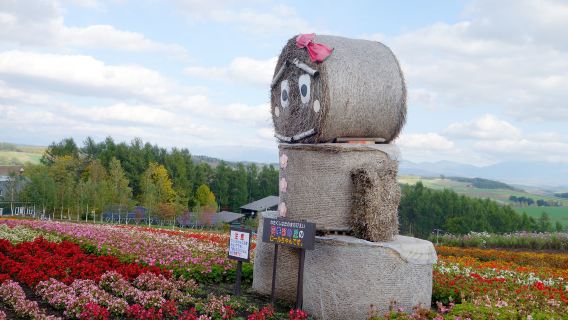 Jepun Sapporo pergi-balik + Shikisai no Oka + Kolam Biru + Teres Peri [Sewaan peribadi bahasa Cina dengan pengangkutan ke lokasi]