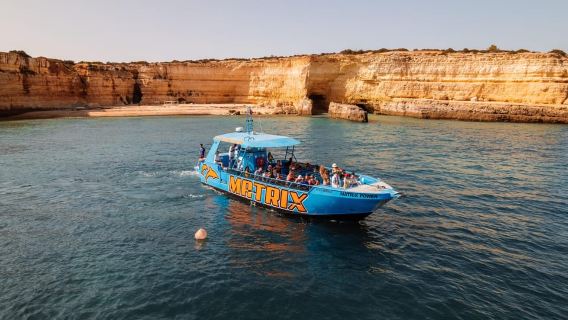 Albufeira: 2.5-Hour Dolphin Watching and Caves Trip