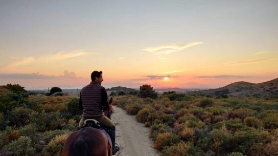 Cagliari: panoramic horseback riding