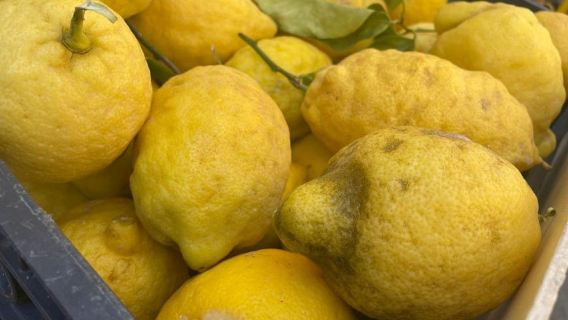 Civitavecchia: Historical and Culinary Walking Tour