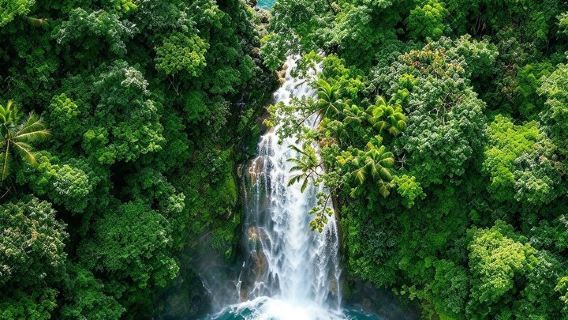 Tur Privat Air Terjun Biru, Suaka Sloth, dan Perjalanan Sehari ke Perkebunan Kopi