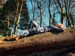Half-day Forest Bathing and Yoga in Brighton's Woodlands
