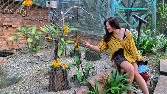 Kuala LumpurTours