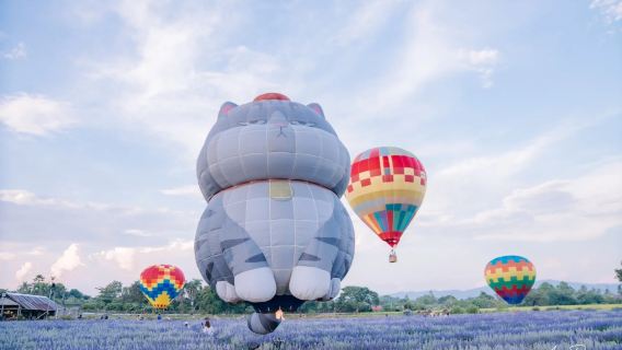 Căn cứ dù dù lượn Chiang Mai, Thái Lan Trải nghiệm bay dù lượn và tàu lượn tại Chiang Mai Chuyến tham quan ngắm cảnh khinh khí cầu trên cao nửa ngày và tour 1 ngày