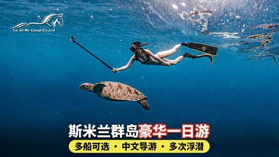 타이무앙데이 투어