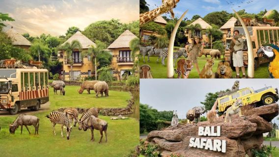 All Inclusive : Day Tour Bali Safari Journey with Animal Show & Elephant Feeding